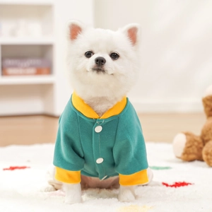 Detail of forest green pet jacket with yellow ribbed trim and white buttons on small dog