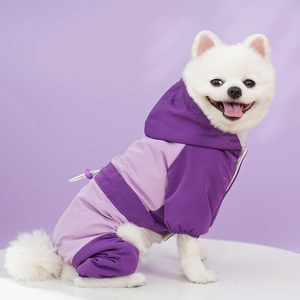 Detail of purple color-block pet sports suit with adjustable drawstring and hood