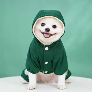 Detail of dark green hooded pet parka with white snap buttons on a white Pomeranian