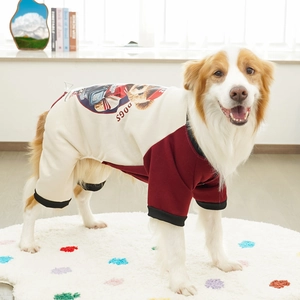 Detail of a beige and red dog onesie featuring a teddy bear print on a Border Collie