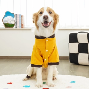 Close-up of yellow pet sweatshirt with brown collar and snap button closure for dogs