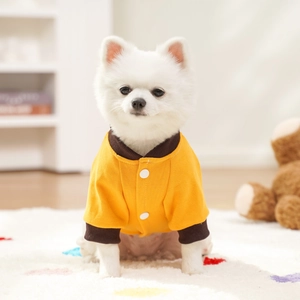 Detail of yellow pet sports jacket with ribbed brown collar on a white Pomeranian dog
