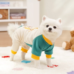 Detailed close-up of color-block pet sweater with ribbed collar and cute cartoon print