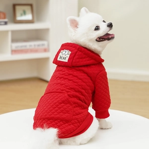 Detail eines roten gesteppten Hunde-Hoodies mit BEAR-Etikett für kleine Haustiere
