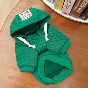 Detail eines grünen gesteppten Haustier-Hoodies mit BEAR-Label und weißem Kordelzug