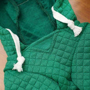 Nahaufnahme von dunkelgrünem gestepptem Haustier-Hoodie mit weißem Kordelzug