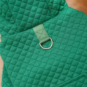 Detail von grünem gestepptem Hundepullover-Stoff mit robustem Metall-D-Ring für Leinen