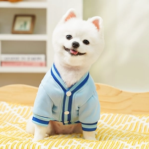 Detail of blue knitted dog cardigan with striped cuffs on a small white Pomeranian
