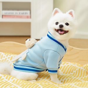 Detail of blue pet baseball jacket with 3D teddy bear patch on a Pomeranian dog