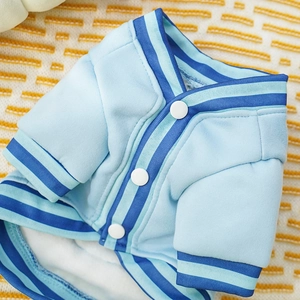 Close-up of blue dog baseball jacket with striped ribbing and white snap buttons