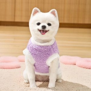 Close-up of a small white dog wearing a cozy purple fleece vest with white faux fur trim