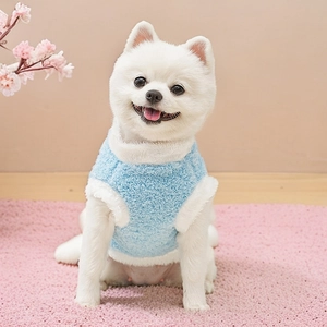Close-up of blue plush pet vest with white fleece trim worn by a small white dog