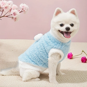 Close-up of a Pomeranian wearing a thick light blue plush dog vest with white faux fur trim