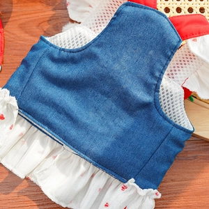 Detail van hondentruitje met denim vest, witte mesh plooirok en rode hartjesprint
