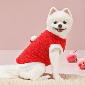 Detail of red plush pet vest with white trim and pom-poms on a fluffy dog