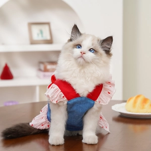 Detail van een denim huisdierjurk met rode bandjes en bloemen ruches voor katten