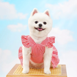 Close-up of red and white striped pet dress with ruffle collar on a small white dog