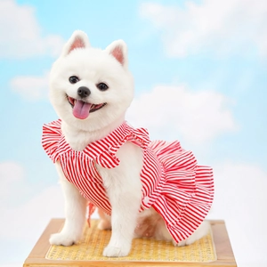 Detail of red and white striped pet summer dress with ruffled hem on a small white dog