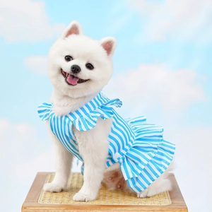 Close-up of blue and white striped pet dress with ruffled edges on a small white dog