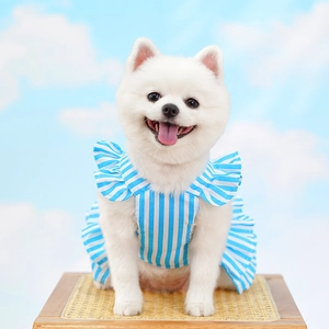 Blue and white striped dog dress with ruffled sleeves shown on a white Pomeranian