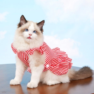 Detail of red striped pet dress with ruffle sleeves and button closure for cats and dogs