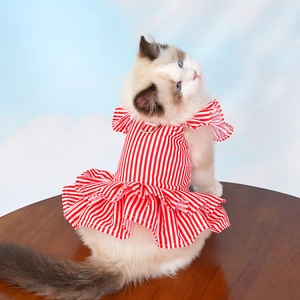 Macro detail of red and white striped pet dress showing ruffle trim and metal D-ring