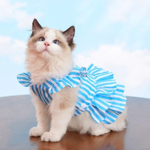 Detail of blue and white striped pet dress with ruffled edges on a ragdoll cat