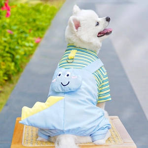 Détail de la salopette dinosaure avec nageoires 3D et anneau en D sur t-shirt chien rayé