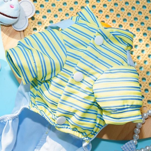 Détail de la chemise rayée jaune et bleue pour animaux avec col et boutons