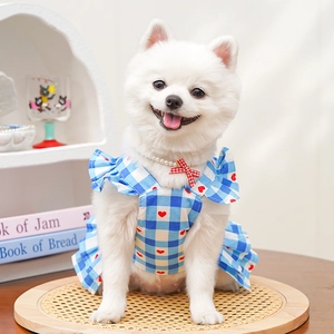Gros plan d'un Loulou de Poméranie portant une robe à carreaux bleus et petits cœurs