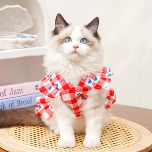 Détail d'une robe pour chat à carreaux rouges sur un chat Ragdoll assis sur un tabouret