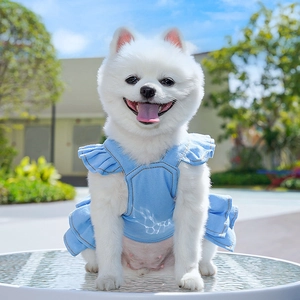 Blue denim pet dress with ruffled straps and brown stitching shown on a small white dog
