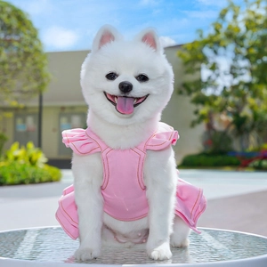 Pink dog denim dress with ruffle straps and gold stitching on a white Pomeranian dog