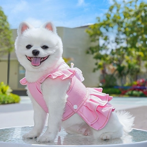 Detailed view of pink denim pet dress with ruffle sleeves and white 3D wings on the back