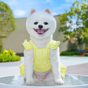 Bright yellow pet denim dress with ruffle sleeves shown on a small white dog outdoors