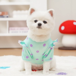Detail of mint green polka dot dog t-shirt with ruffle sleeves on a white Pomeranian