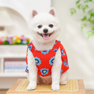 Dettaglio dell'abito rosso per cani con motivi floreali blu e spalline arricciate