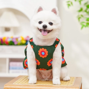 Dettaglio del gilet floreale per animali con stampa girasole su un piccolo cane bianco