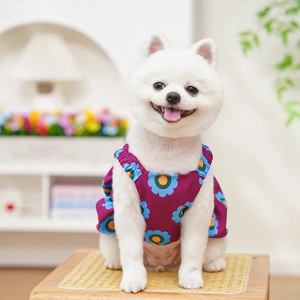 Dettaglio gilet estivo per animali con motivo a girasoli blu su cane Pomerania