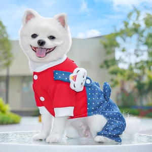 Polka dot pet denim overalls for small dogs with plush bear ornament on red knit top