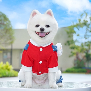 Close-up of a red textured pet dog jacket with blue polka dot accents and white collar