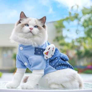 Detail of blue polka dot pet denim jacket with cartoon patch on a Ragdoll cat