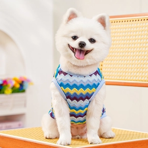 Detailed close-up of a blue and yellow wavy knit pet vest worn by a dog in a home setting