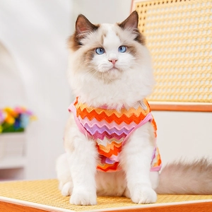 Ragdoll cat wearing a colorful knitted wave pattern pet vest for spring and summer