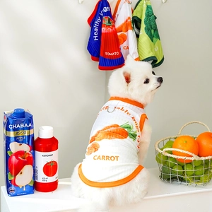 Breathable vegetable print dog vest with D-ring leash attachment for small dogs