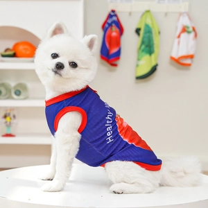 Blue dog tank top with Healthy print on a small white dog in a warm boutique shop