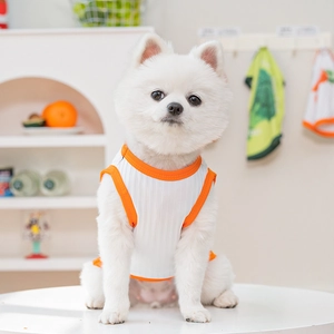 Detail of white ribbed pet vest with orange trim shown on a fluffy Pomeranian dog