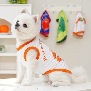 Close-up of breathable white pet vest with orange trim and healthy veg print design