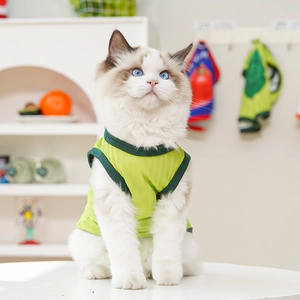 Close-up of bright green ribbed pet vest with dark green trim on a longhair cat