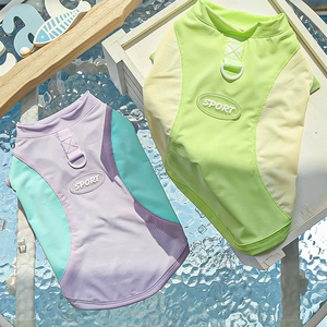 Detail of breathable mesh pet sport vest with reinforced D-ring and colorful拼接 design